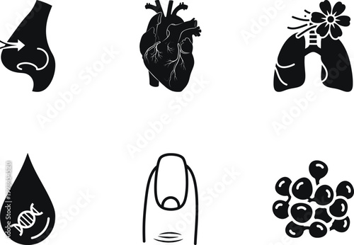 Set of medical and human anatomy icons including heart, lungs, dna, nail, and joint