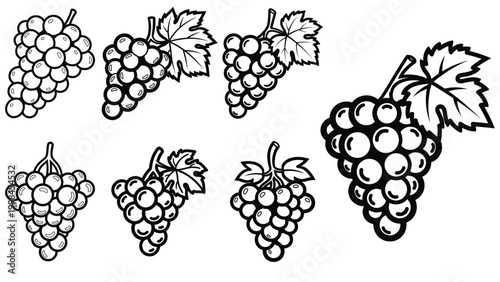 Grape Bunches Collection: Outline Icons for Fresh Fruit and Wine Design