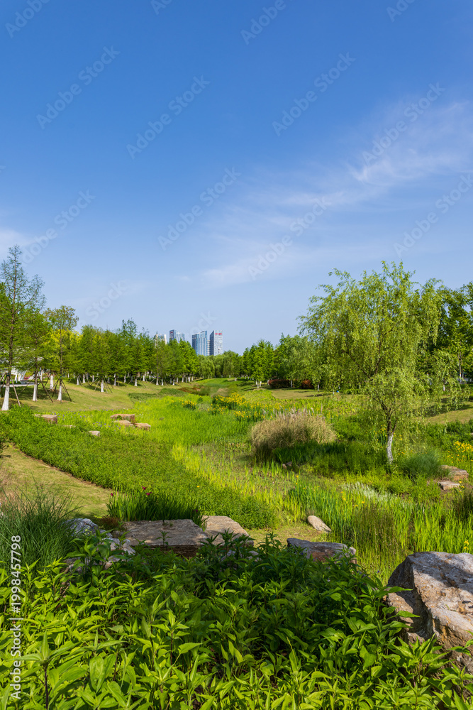 Obraz premium Ecological Landscape and Distant Skyline in the Urban Green Lung