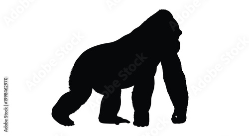 A striking black gorilla form captured in a dramatic silhouette