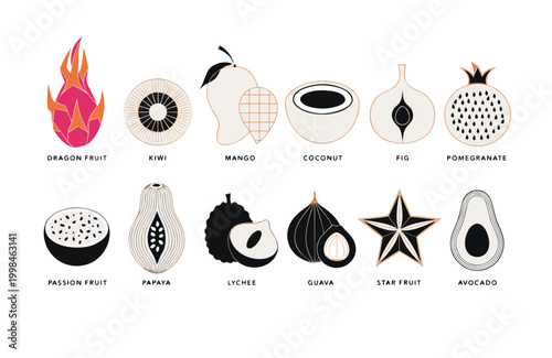 Fruits rendered in high contrast monochrome and muted tones create a sophisticated visual guide for tropical food enthusiasts looking for a stylized representation of diverse and healthy harvest.