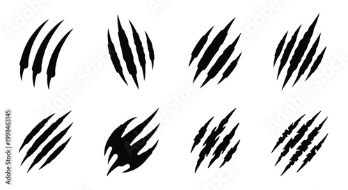 Sharp claw marks in a repeating pattern a dramatic silhouette