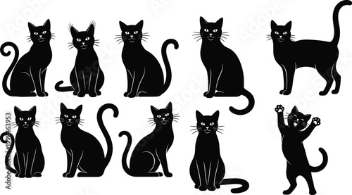 Stylized cat silhouettes sitting, standing, playful poses, feline behavior concept, pet care, animal lifestyle vector illustration, black white modern artwork design