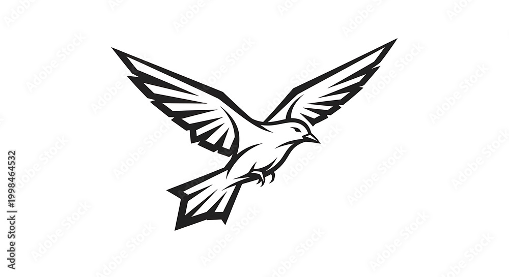 Fototapeta premium Black and white of a bird in flight with detailed wing feathers wings silhouette