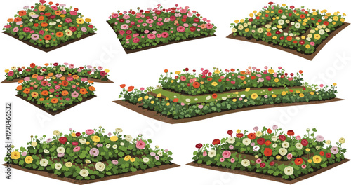 Colorful Garden Flower Bed Set With Blooming Zinnia And Dahlia Plants In Various Arrangements