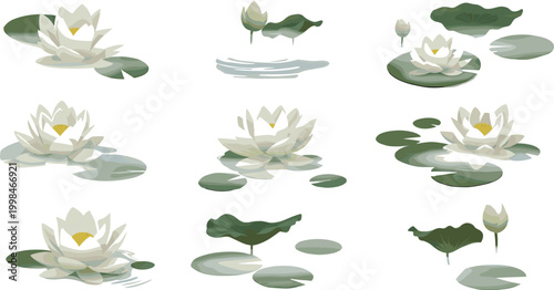Calm Water Lily Pond Vector Illustration Set with Lily Pads, Buds, and Reflections for Nature, Garden, Meditation, and Digital Designs