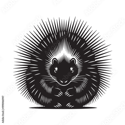 Stylized black and white porcupine vector illustration with sharp quills isolated on white background