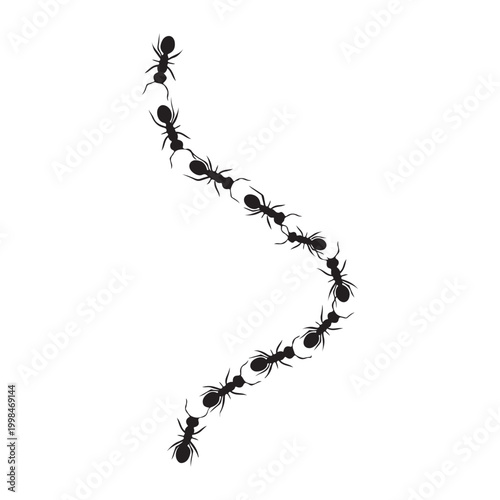 Silhouette of a trail of ants marching in a curved line isolated on white background vector illustration