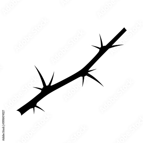 Detailed silhouette of a thorny branch against a white background, isolated.