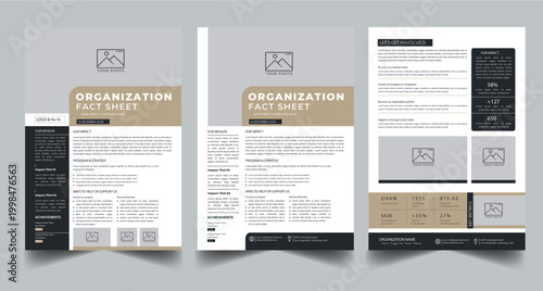 Nonprofit Organization Fact Sheet, Organization Fact Sheet for Business Concept Layout With Three Page & Color Design Step