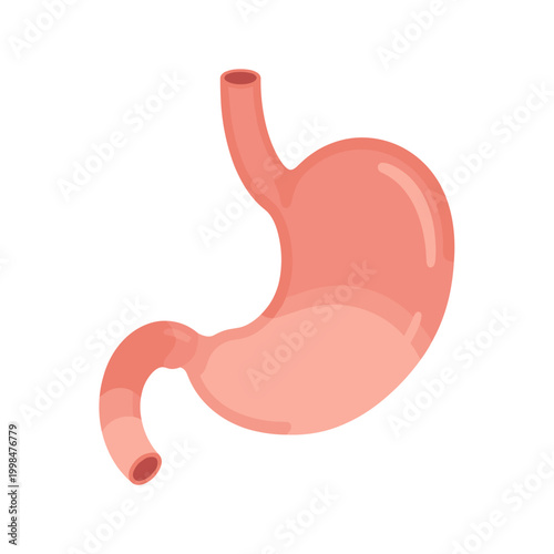 Flat Stomach Illustration for Health and Wellness