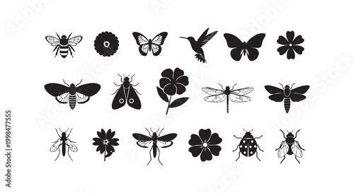Set of various insect and flower silhouettes for decorative design elements isolated on white background flat style graphic.