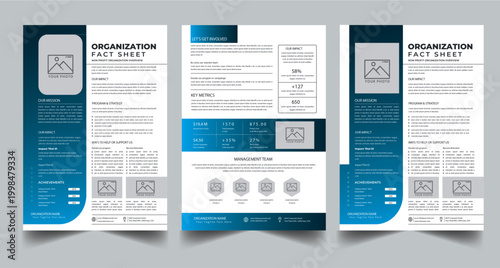 Photography Nonprofit Organization Fact Sheet, Organization Fact Sheet for Business Concept