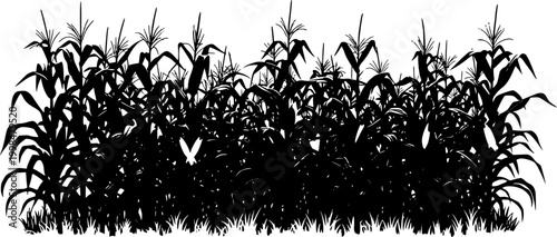 A black corn field. Maize field silhouette design vector illustration