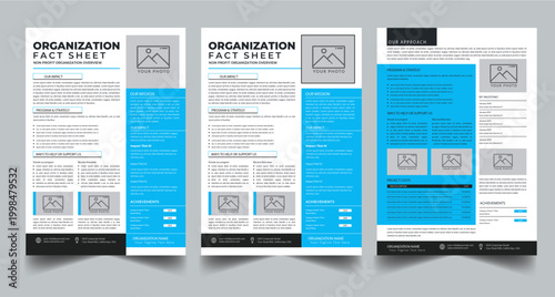 Nonprofit Organization Fact Sheet, Organization Fact Sheet for Business Concept Layout With Three Page & Color Design Step