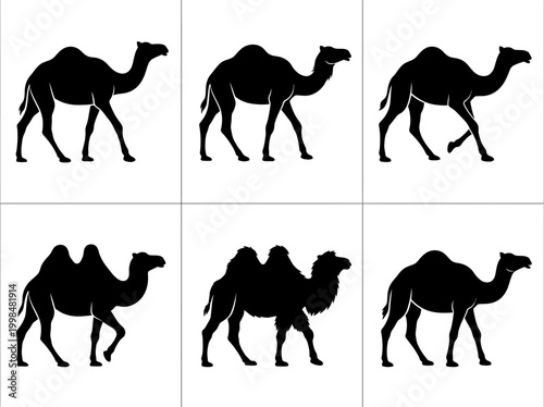 Camel Silhouette Collection - Dromedary and Bactrian Desert Animal Vector Icons