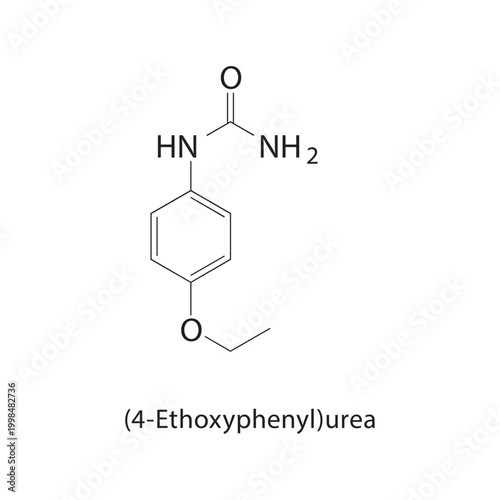 (4-Ethoxyphenyl)urea skeletal structure. urea compound schematic illustration. Simple diagram, chemical formula.