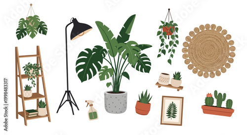 Decorative house plants and home interior vector