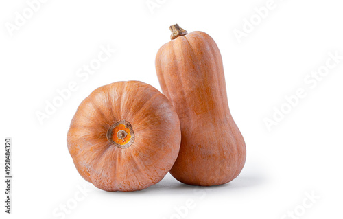 Quadro su tela Nutmeg pumpkin, Georgian culture, Matilda hybrid, on a white background, isolate