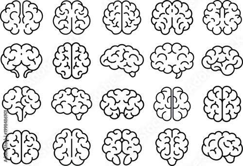 Collection of different brain and neuron vector illustrations Vector