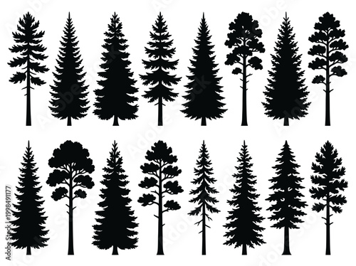 Collection of Pine and Fir Tree Silhouettes, Evergreen Forest Conifer Vector Icons Set