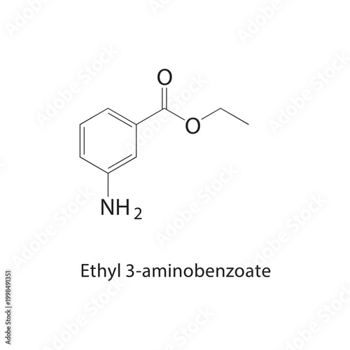 Ethyl 3-aminobenzoate skeletal structure. amino ester compound schematic illustration. Simple diagram, chemical formula.