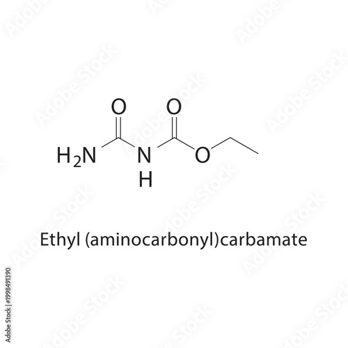 Ethyl (aminocarbonyl) carbamate skeletal structure. carbamate compound schematic illustration. Simple diagram, chemical formula.