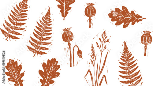Autumnal grunge stamp botanical prints of ferns and dried leaves