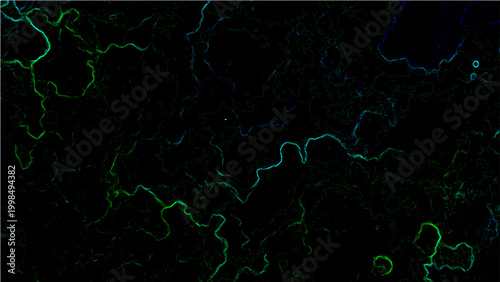Abstract Vector art of vibrant lines and shapes in dark background with digital effect with light green and dark green lines.