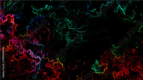 Abstract Vector color contour lines forming vibrant gradients and amorphous shapes in dark background with kaleidoscopic pattern.