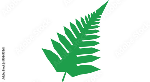 Green Fern Leaf Closeup Isolated.