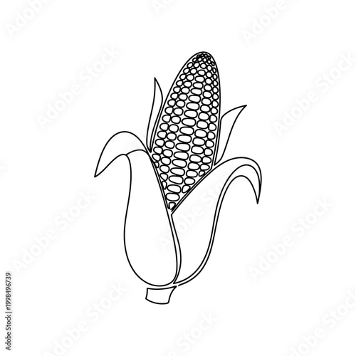 Corn Cob Outline Illustration for Coloring Book.