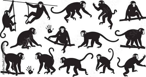 set of monkeys in different poses and actions