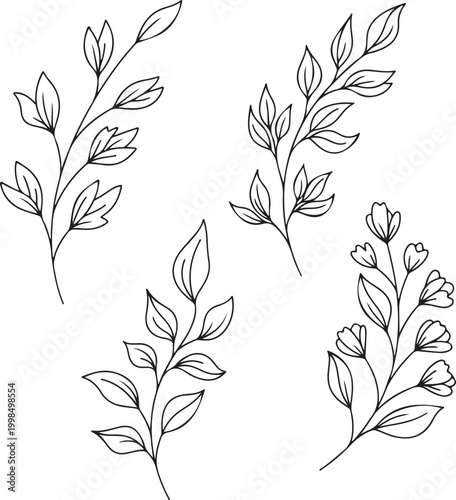 Minimalist line art botanical branches vector