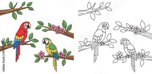 Colorful Macaw Parrots on Branches with Blossoms - Cartoon & Line Art Tropical Birds