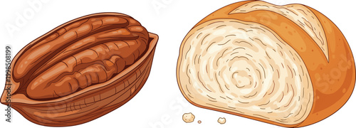 Pecan Nut in Shell and Freshly Cut Slice of Bread in Vector Illustration"