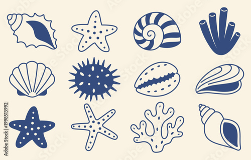 Sea shell collection Mediterranean blue style with starfish coral seashell ocean marine beach nature tropical coastal set hand drawn summer vacation nautical underwater wildlife Marine Doodle Icons