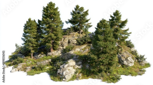 Isolated clump of trees on rocky terrain nature environment background