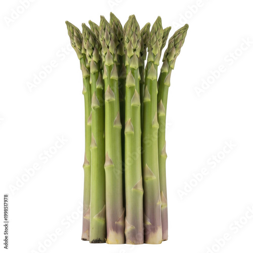 Fresh green asparagus spears tightly bundled together