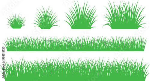 Various Stages of Green Grass Growth in Vector Illustration for Lawn Design"