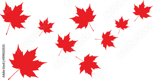 Red maple leaves scattered on a white background, autumn-themed vector illustration"