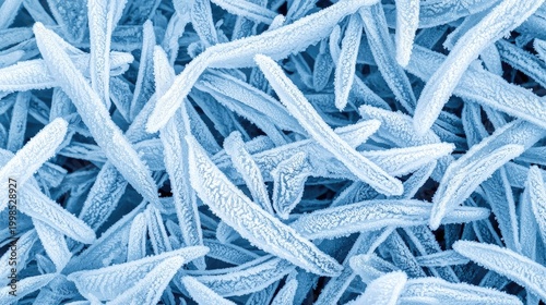 Close-up view of intricate frost patterns on a surface.