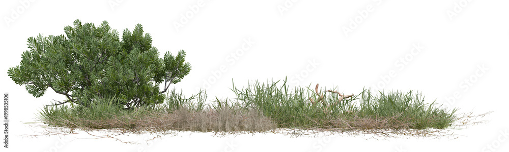 Fototapeta premium Summer of Tree and meadow in nature with isolated on transparent background - PNG file, 3d rendering illustration