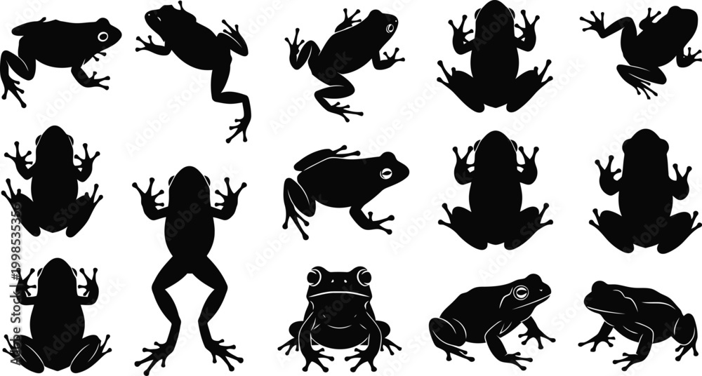 Fototapeta premium A detailed collection of black frog silhouettes showing various jumping and sitting poses for creative designs
