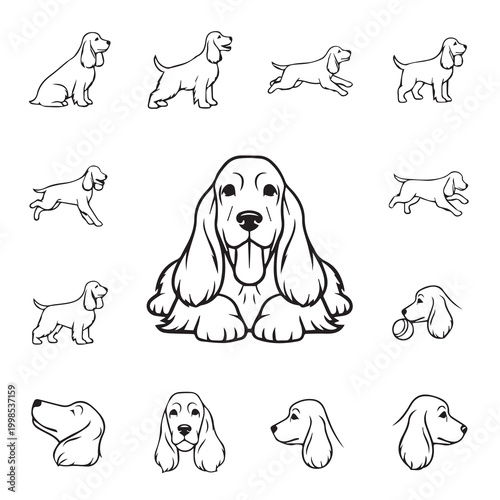 Cocker Spaniel dog poses and expressions line art vector illustration
