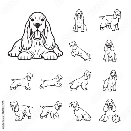 Cocker Spaniel dog poses in clean line art style for versatile design applications