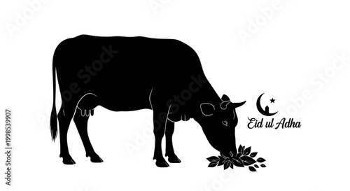 EID-UL ADHA Black cow eating grass, Eid al Adha vector illustration, Islamic holiday symbol, cattle silhouette Vector