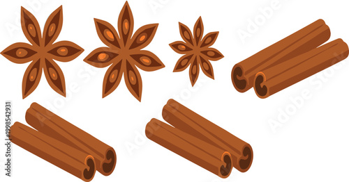 Cinnamon sticks and star anise spice illustration set with aromatic cooking ingredients food vector collection