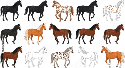 Horse collection with different breeds colors and poses farm animals domestic equine vector illustration set