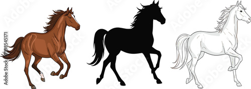 Horse illustration set with brown, black silhouette and white horse vector collection
